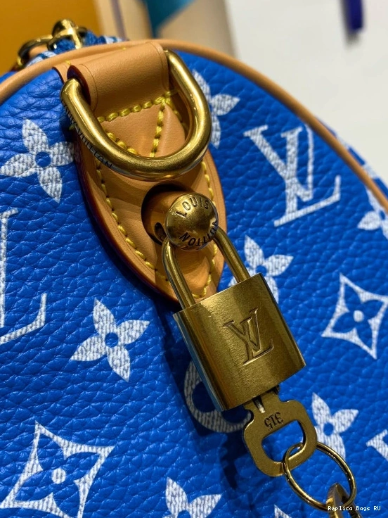 Cheap Vuitton SPEEDY Louis 25 0812